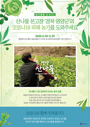 ▲ 영양군은 영양산나물의 온오프라인 판로 확보 총력전에 나섰다.ⓒ영양군