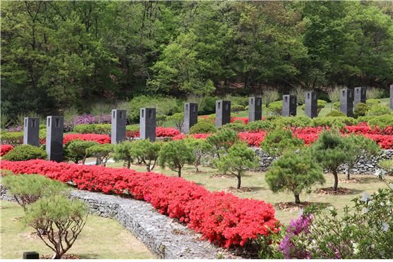 ▲ 세종 은하수공원 수목장.ⓒ세종시설관리공단