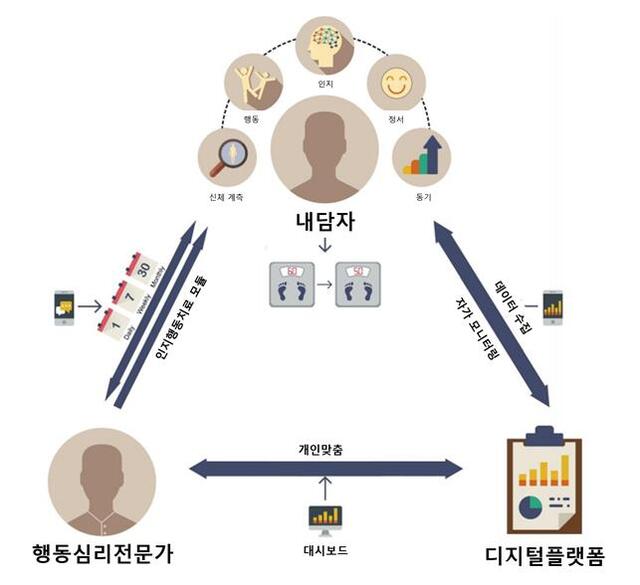 ▲ 서울대의과대학 최영진 연구팀이 개발한 디지털 인지행동치료제 프로세스. ⓒ서울대병원