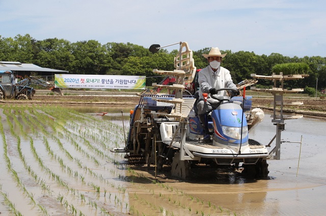 ▲ 이강덕 시장과 쌀 전업농업인, 농협관계자 등 100여명이 참석한 가운데 열린 올해 첫 모내기 행사는 풍년농사 기원과 모내기 시연을 비롯한 영농전반에 대한 정보와 의견 교환 및 애로사항을 청취하는 순으로 진행됐다.ⓒ포항시