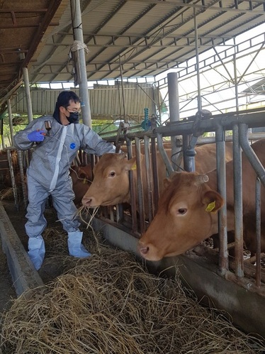 ▲ 경주시는 춘계 가축전염병 예방접종을 실시한다.ⓒ경주시