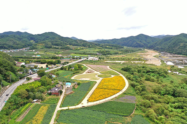 ▲ 청송군이 신기리 일원에 전국 최대 규모 백일홍 단지를 조성한다.ⓒ청송군