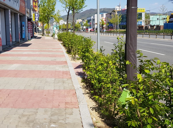 ▲ 청주예술의전당 인근 도로에 조성된 띠녹지.ⓒ청주시