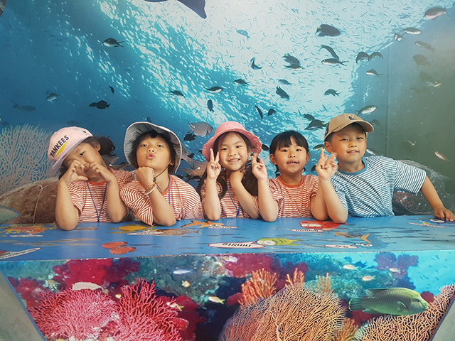 ▲ 경북교육청은 작은학교 자유학구제 운영으로 377명 학생 유입효과를 거뒀다.ⓒ경북교육청