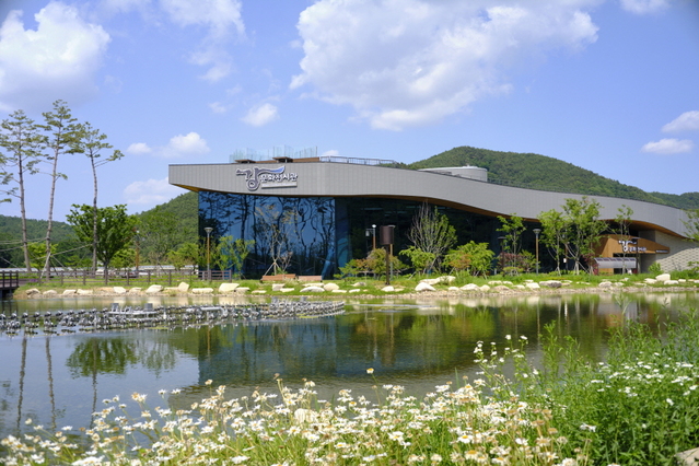 ▲ 예천군은 강문화전시관을 생활 방역체계인 생활 속 거리두기로 전환됨에 따라 본격적인 운영에 들어간다.ⓒ예천군