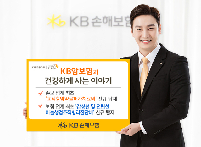 ▲ ⓒKB손해보험