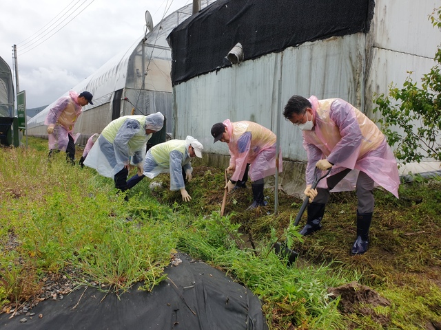▲ 19일 경기도 파주시 광탄면 소재 화훼 농가에서 진행된 농촌일손돕기 활동에서 김인태 농협금융 경영기획부문장(부사장)(오른쪽 첫번째)과 임직원들이 배수로 정비 작업을 하고 있다.ⓒ농협금융
