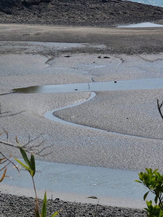 죽도 갯벌에 바닷물이 빠지자 또다른 물길이 멋진 모습을 보여주고 있다.ⓒ김정원 기자