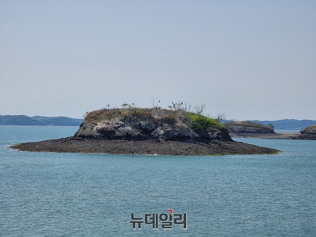 ▲ 죽도 전망대에서 바라본 무인도인 전도. 마치 모자처럼 보인다.ⓒ김정원 기자