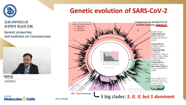 ▲ 박만성 고려대의대 미생물학교실 교수가 한국분자세포생물학회를 통해 코로나19 유전자 유형에 대한 설명을 하고 있다. ⓒ한국분자세포생물학회