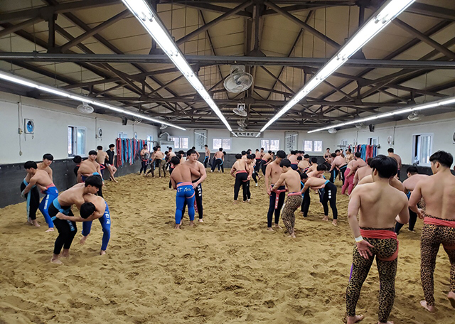 ▲ 의성군은 관내 중‧고등학생 씨름 유망주를 적극 지원하고 있다.ⓒ의성군