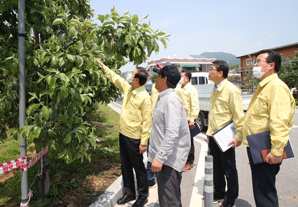 ▲ 조길형 충주시장이 산척면 과수화상병 발생 과수원을 찾아 점검을 하고 있다.ⓒ충주시