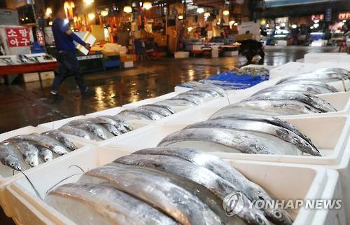 ▲ 갈치.ⓒ연합뉴스