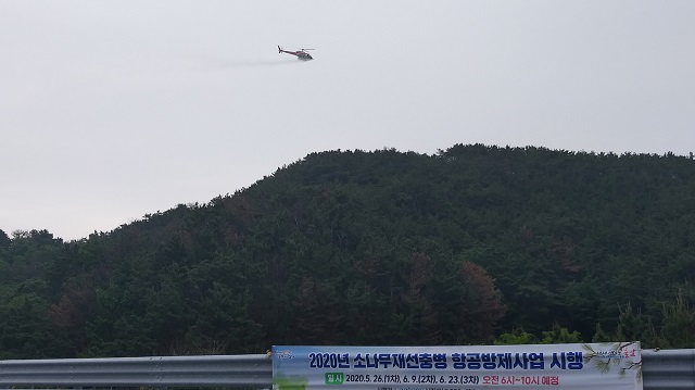 ▲ 소나무재선충병 확산방지를 위해 군사보호구역에 항공방제를 실시한다.ⓒ포항시