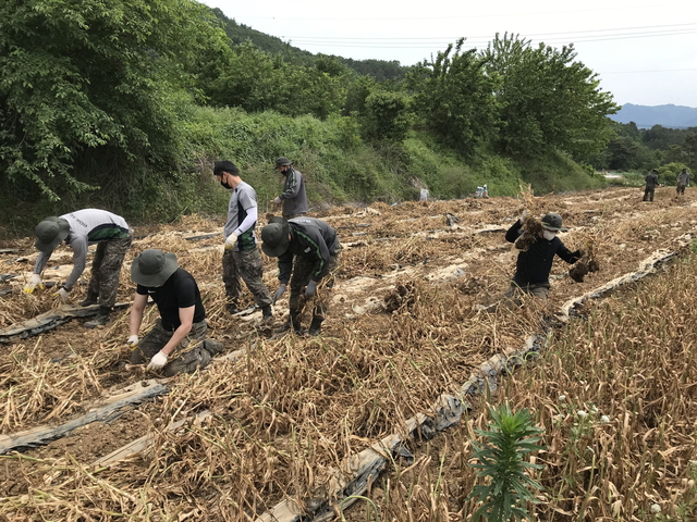 ▲ 달성군(군수 김문오)은 본격적 영농철을 맞아 코로나19의 장기화로 인력수급을 겪는 농가를 위해 농촌일손돕기 추진단을 설치해 운영에 들어간다.ⓒ달성군