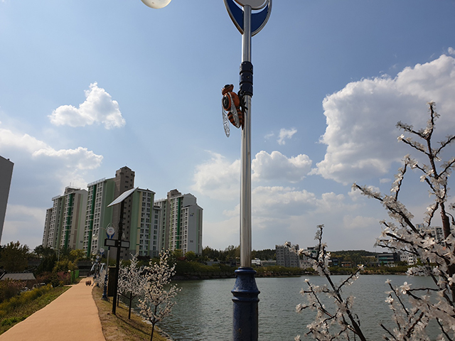 ▲ 영천시는 6월 1일부터 7일까지 망정동 우로지 생태공원에 음악방송 서비스를 시범 운영한다.ⓒ영천시