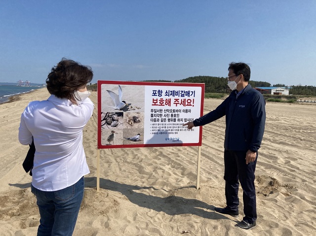▲ 포항시는 멸종위기 관심대상인 쇠제비갈매기 보호에 적극 나섰다.ⓒ포항시