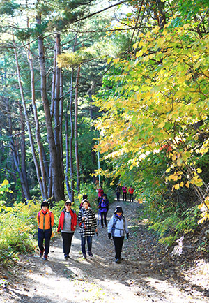 ▲ 영양군 외씨버선길이 지역혁신협의회 우수과제 지원 공모사업에 선정됐다.ⓒ영양군