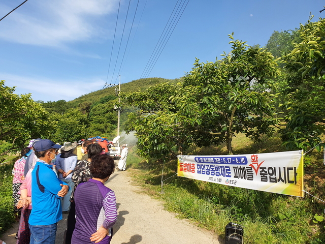 ▲ 청도군은 돌발·외래 해충(미국선녀벌레, 갈색날개매미충 등)의 확산방지를 위해 각남면 사2리 일원에서 협업공동방제 연시회를 개최했다.ⓒ청도군