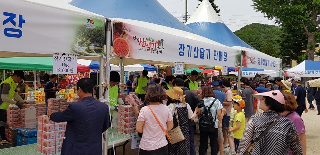 ▲ 지난해 열린 장기산딸기 축제의 모습.ⓒ포항시