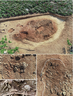 의성군은 의성군 금성면 고분군의 범위 밖 외곽부분에 도굴돼 수십년간 방치된 대리리44호분의 발굴조사를 실시한다.ⓒ의성군