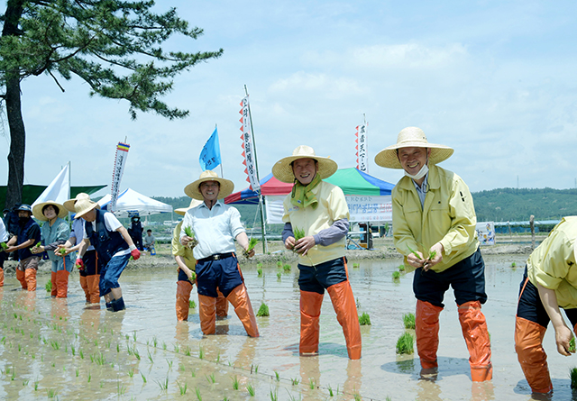 ▲ 영천시 농민회는 풍년농사기원제 및 손 모심기 행사를 가졌다.ⓒ영천시