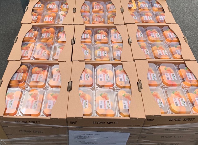 ▲ 김천시는 지난 2일 관내 수출업체 에스이엠농업회사법인에서 ‘김천살구’를 처음으로 수출하는 쾌거를 거뒀다.ⓒ김천시