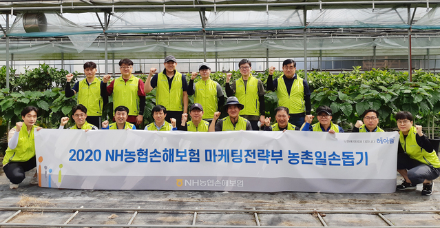▲ NH농협손해보험 마케팅부문 임직원은 3일, 경기도 하남시 소재 화훼농가를 찾아 영농철 농촌 일손돕기를 실시했다. 임종철 마케팅부문 부사장(사진 첫째줄 왼쪽에서 여섯 번째)과 마케팅부문 직원들이 일손돕기에 앞서 기념촬영을 하고 있다.ⓒNH농협손해보험