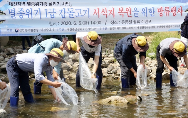 ▲ 감돌고기 방류 행사 ⓒ한국타이어앤테크놀로지(옛 한국타이어)