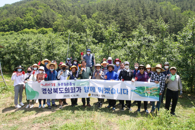 ▲ 경북도의회사무처(처장 민인기) 직원 43명이 지난 4일 의성 과수농가를 찾아 농촌일손돕기에 힘을 보탰다.ⓒ경북도의회