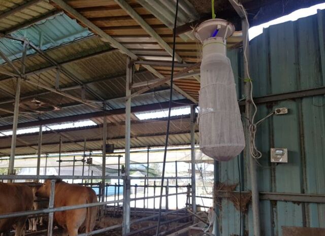 ▲ 대구시 동구 금강로 우사 모기 채집 유문등 설치 사진.ⓒ대구시