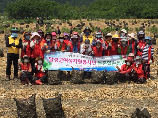 ▲ 달성군여성자원봉사단(단장 엄춘화)이 지난 5일 유가읍 본말리 농가에서 마늘 수확 봉사활동을 실시했다.ⓒ달성군