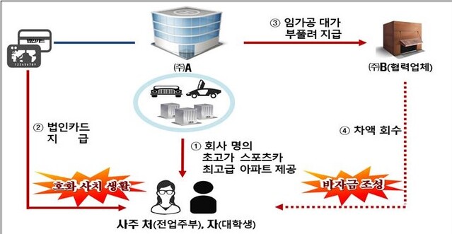 ▲ 회사 명의 초고가 스포츠카·최고급 아파트를 취득 후 사주 가족이 사용한 행위 ⓒ국세청 자료