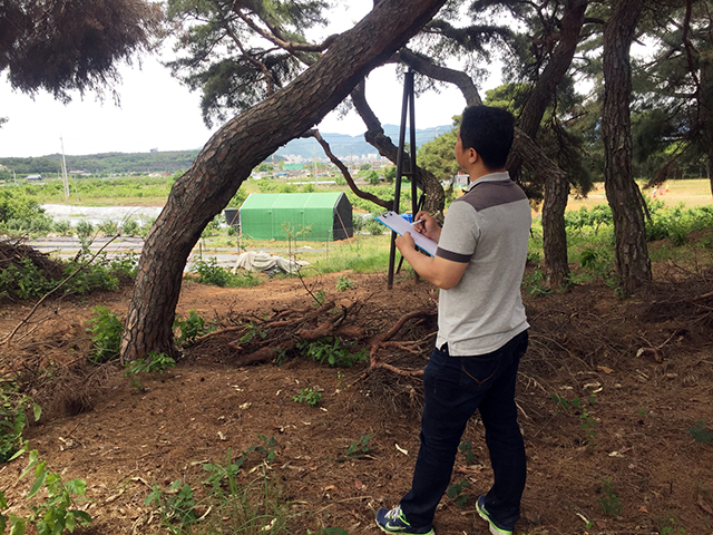 ▲ 안동시는 생활권 수목 진료 민간컨설팅 서비스를 시행하고 있다.ⓒ안동시