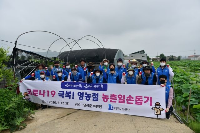 ▲ 대구도시공사(사장 이종덕)는 지난 12일 대구시 달성군 하빈면 양파 농장을 찾아 농촌 일손돕기 봉사활동을 펼쳤다.ⓒ대구도시공사