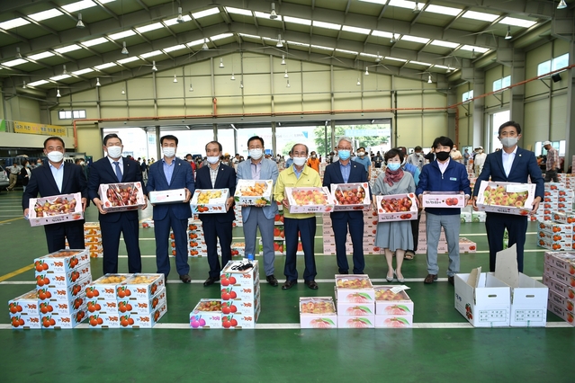 ▲ 이승율 청도군수, 박기호 군의장과 군의원, 농협관계자, 출하 농민들이 참석한 가운데 청도군 공판장 개장을 축하했다.ⓒ청도군