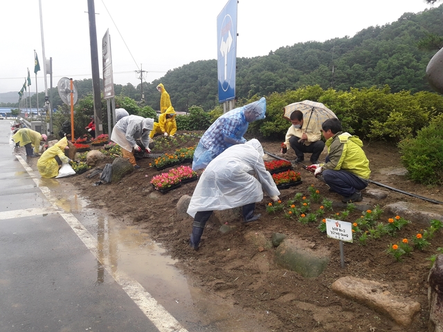 ▲ 청도군 각북면은 아름다운 화단가꾸기의 일환으로 이장협의회와 새마을3단체가 주축이 돼 면내 송이동산과 바르게살기정원에서 가로화단을 조성했다.ⓒ청도군