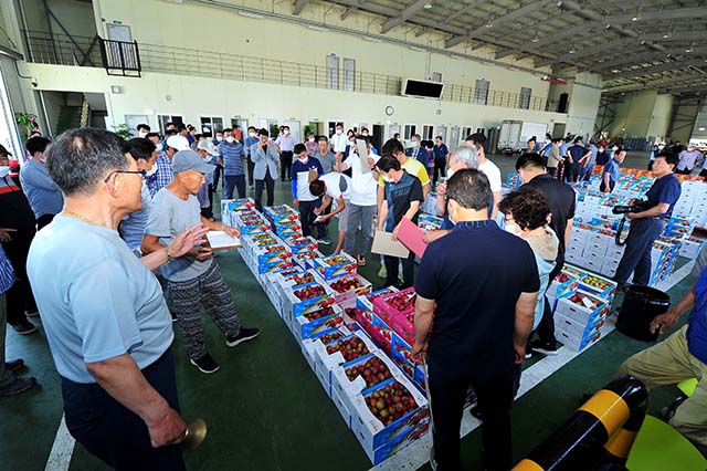 ▲ 군위군 농산물공판장이 22일 개장했다.ⓒ군위군