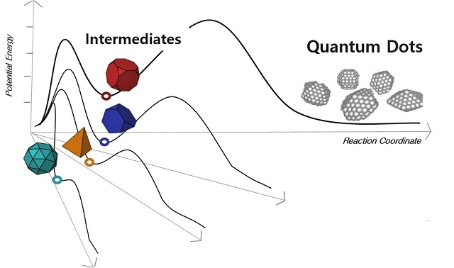 ▲ 양자점 성장 중간체로 형성되는 초미세 중간체들을 보여주는 에너지 모식도.ⓒ포스텍