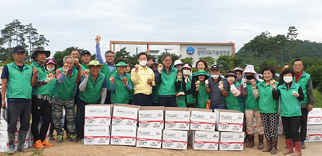 ▲ 영천시새마을회는 ‘감자 나눔’으로 지역사랑을 실천했다.ⓒ영천시