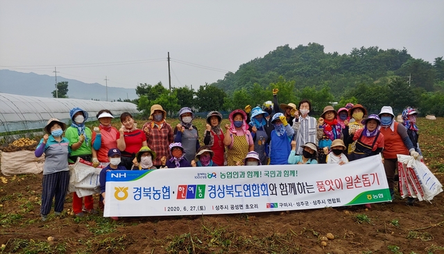 ▲ 경북농협은 지난 27일 농협상주시지부와 한국여성농업인 구미시·상주시·성주군연합회 회원 등 40여명과 함께 일손 부족으로 어려움을 겪고 있는 농업인을 돕기 위해 상주시 공성면 초오리를 찾아 감자 수확작업을 도왔다.ⓒ경북농협