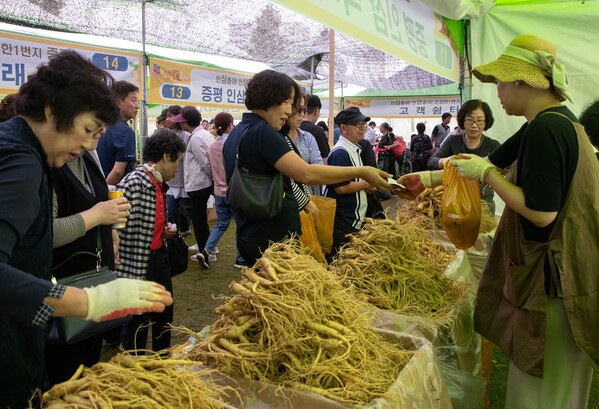 ▲ 지난해 증평인삼골축제 현장에서 인삼을 팔고 있는 모습.ⓒ증평군청 제공