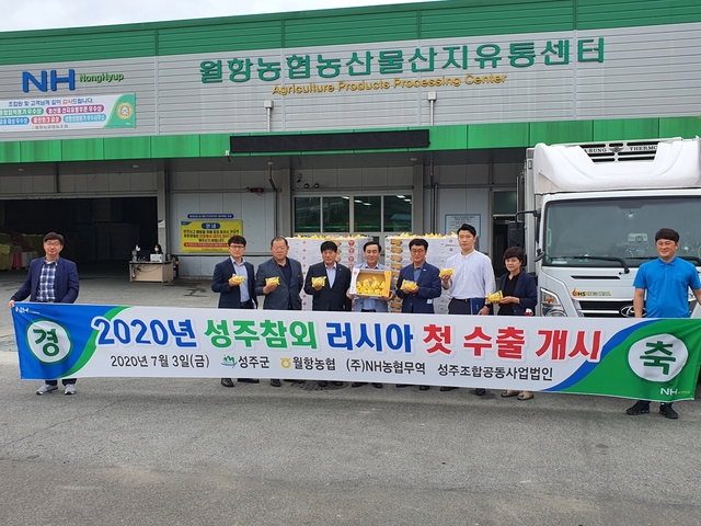 ▲ 성주군은 7일 ‘세계명물 성주참외’의 가격지지 및 농가 실익제고를 위해 NH농협무역을 통해 성주월항농협의 참외를 러시아 사할린으로 수출한다.ⓒ성주군