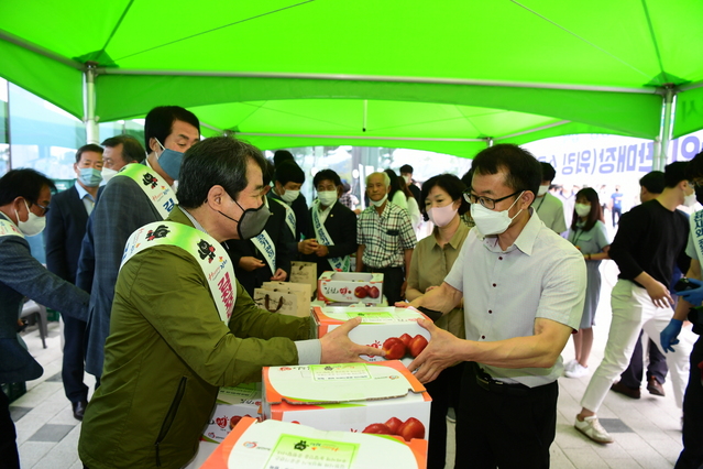 ▲ 김천시(시장 김충섭)는 지난 2주간에 걸쳐 사전시식 및 사전예약 택배판매, 현장시식 및 판매로 ‘2020년 김천자두포도축제’ 김천자두 특별판촉행사를 개최했다.ⓒ김천시