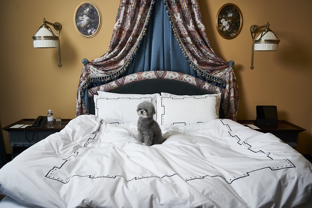 ▲ ⓒ레스케이프