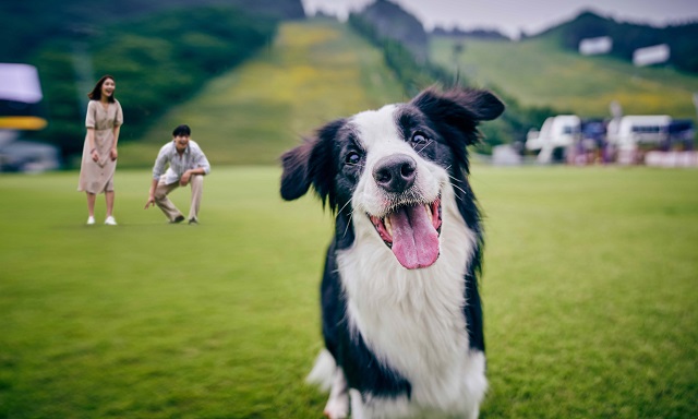 ▲ ⓒ소노호텔앤리조트