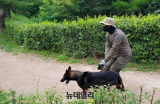 ▲ 경찰이 9일 연락이 두절돼 실종신고가 된 박원순 서울시장의 행방을 찾기 위해 서울 종로구 소재 공원 인근에서 수색견으로 수색작업을 벌이고 있다. 박 시장의 휴대전화 최종 기지국이 서울 성북구로 확인돼 경찰은 소재 파악에 나선 상태다.ⓒ이기륭 기자