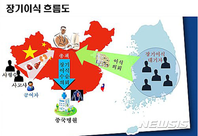 ▲ 2016년 9월 부산경찰청에 검거된 중국 장기매매 조직 관련 거래 흐름도. ⓒ뉴시스. 무단전재 및 재배포 금지.