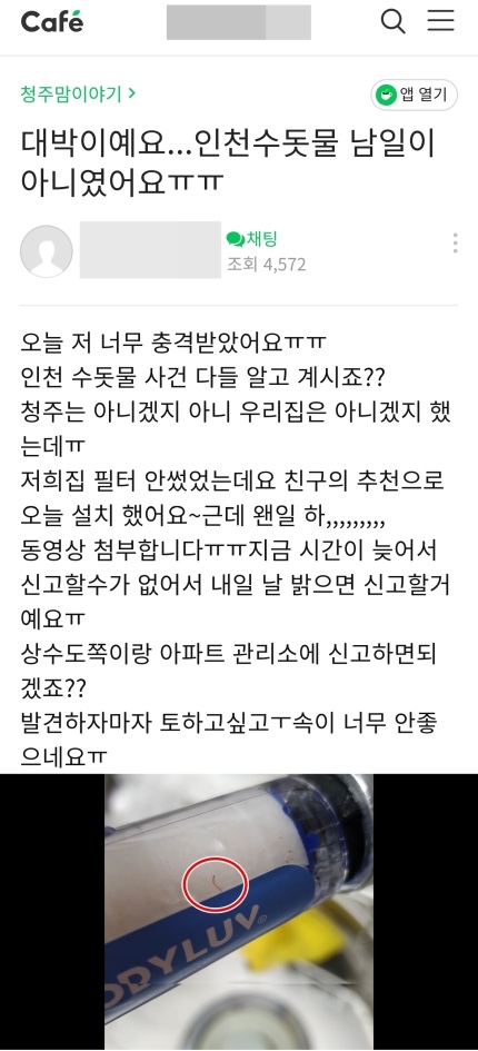 ▲ 충북 청주 맘블리카페에 올라온수돗물 애벌레 글과 애벌레 사진.ⓒ청주 맘블리 카페 캡처