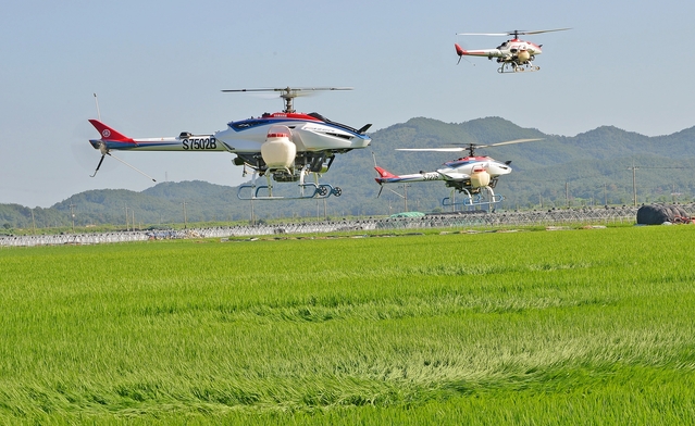 ▲ 달성군에서는 벼 병해충 피해 최소화와 농촌 노동력 부족에 효율적으로 대처하기 위해 관내 전체 벼 재배지역 2683㏊에 대해 7월 23일부터 8월7일까지 무인헬기방제를 실시한다.ⓒ달성군